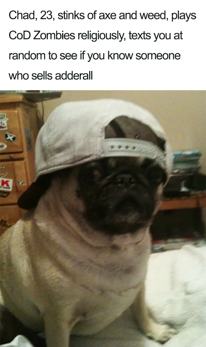 Funny Dog Bios