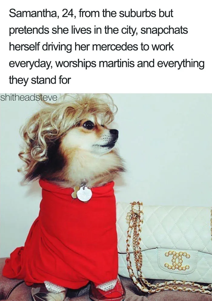 Samantha The Spitz