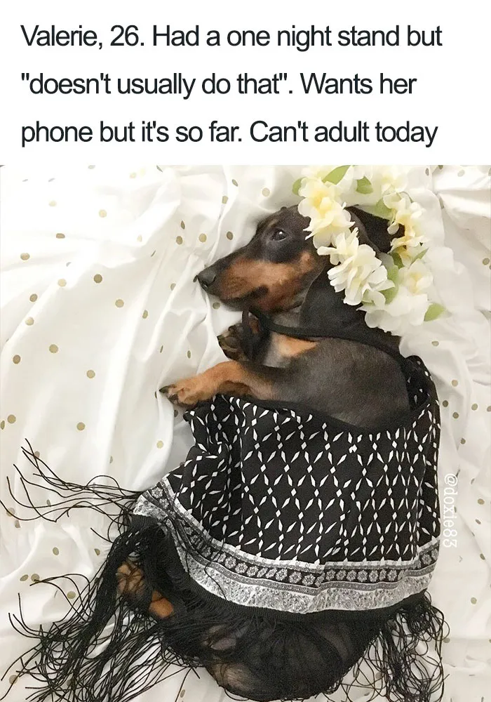 Valerie The Dachshund