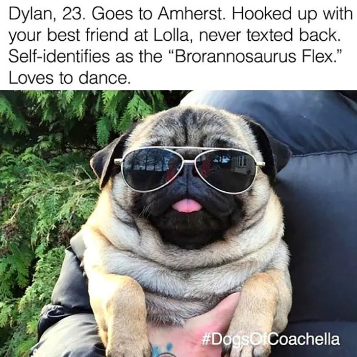 Funny Dog Bios