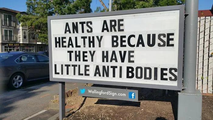 Local Gas Station Makes Whole Town Laugh Every Day With The Funniest Signs Ever