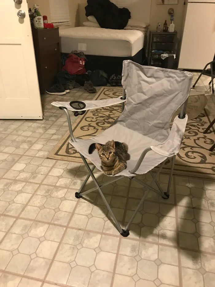 I Came Home To Find...