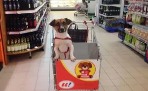 60 Genius Stores That Will Surprise You With Their Creativity