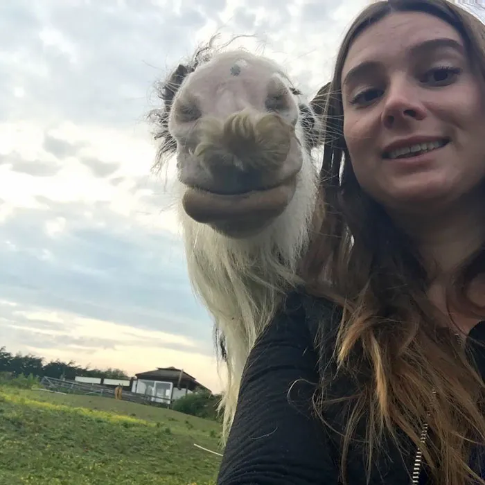 If You Ever Feel Sad, Just Remember That Horses Can Grow Moustaches