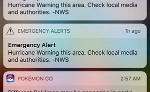 32 Floridians Who Fought Hurricane Irma With A Sense Of Humor, And Won The Internet