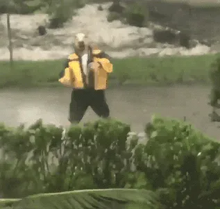 Dirigiendo el huracán