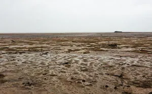 Irma Makes The Ocean Disappear From Florida And Bahamas Beaches And It's Terrifying