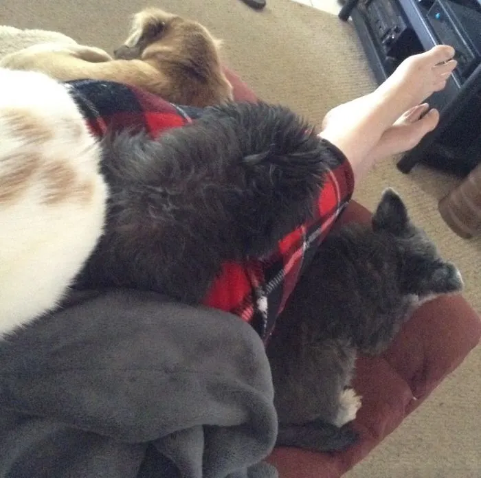 I Sat Down.