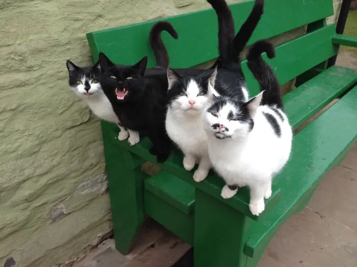 Waiting For Tea