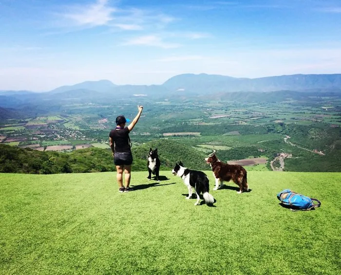 Hike Buds