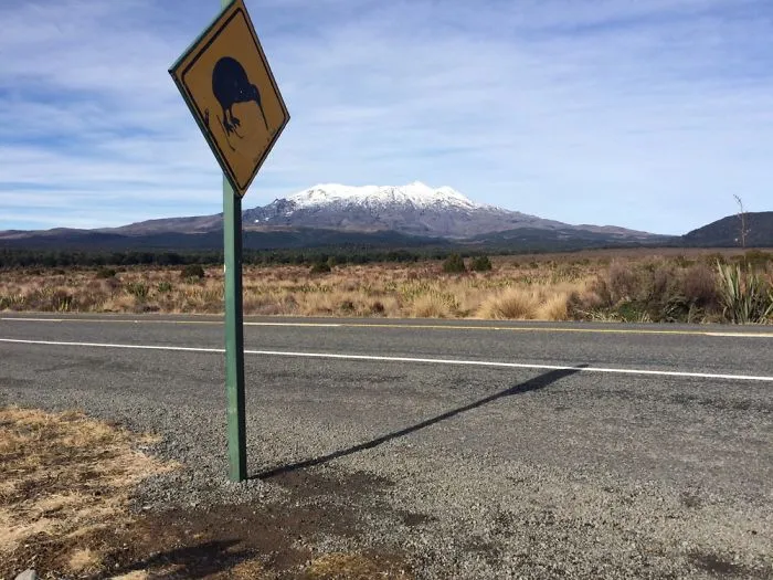 New Zealand