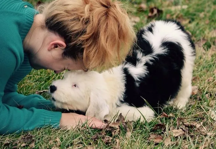 Chosen!  Dogger Meets Daughter.