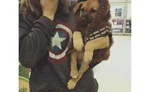 Hey Dog Owners! Share Pictures Of Meeting Your Doggos For The First Time