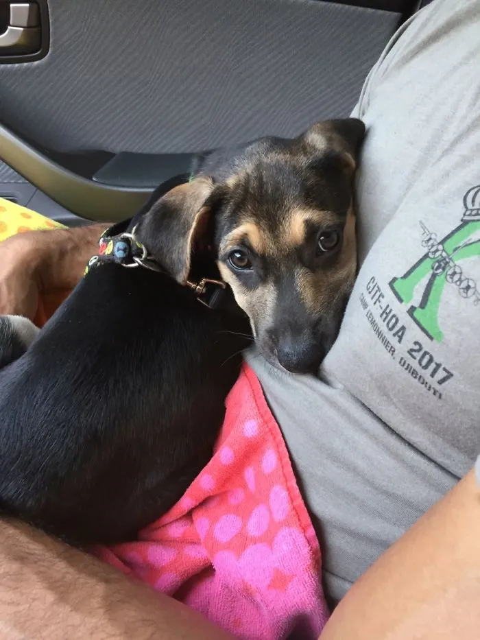 Bringing Emma Home From The Shelter. My Husband Couldn't Let Her Go.