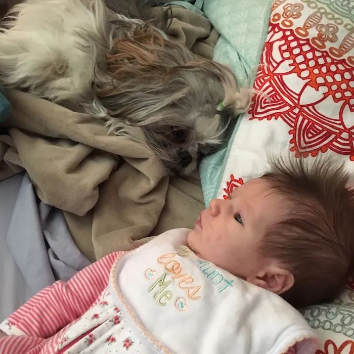 Rosie Has A New Human...