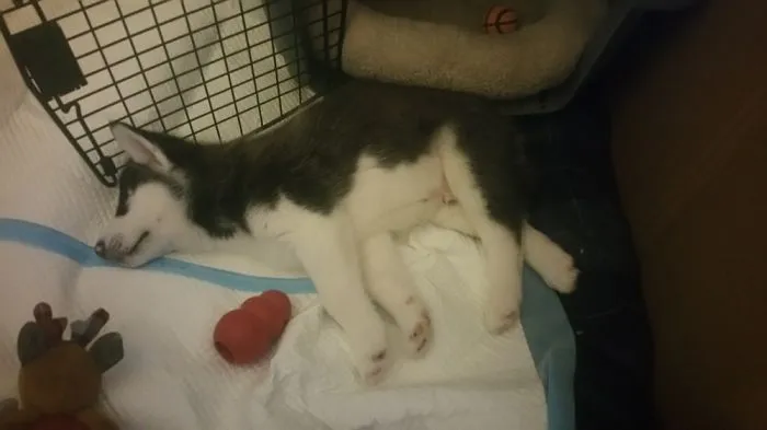 Nap Time