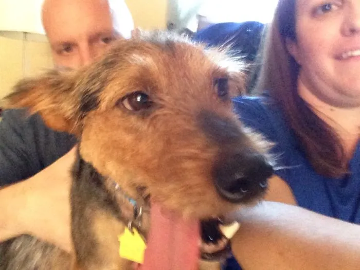 Soon After We Brought Scout Home From The Shelter. He's Such A Good Boy.