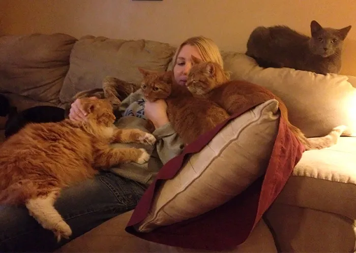 Mi madre va en camino de ser una loca de los gatos