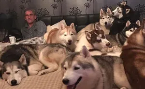 Pet Owners Who Have 3 Or More Pets, Share Your Pics With Us