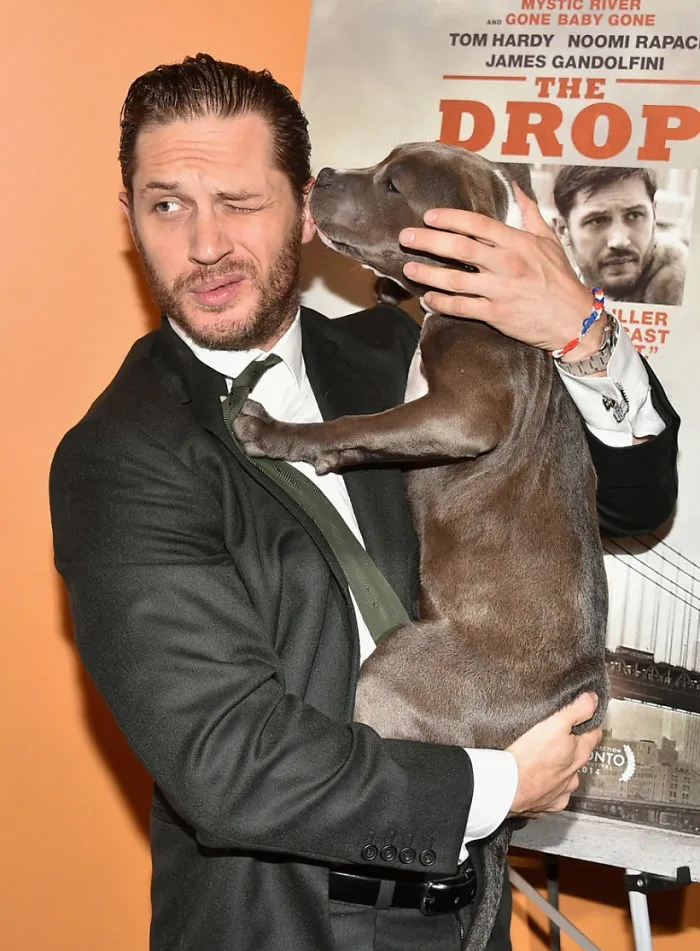Se vuelven virales las tiernas fotos de Tom Hardy con perros, y te derretirán el corazón