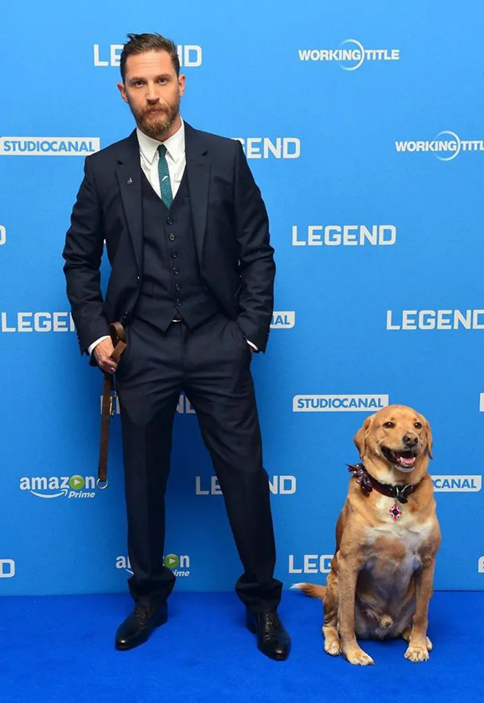 Se vuelven virales las tiernas fotos de Tom Hardy con perros, y te derretirán el corazón