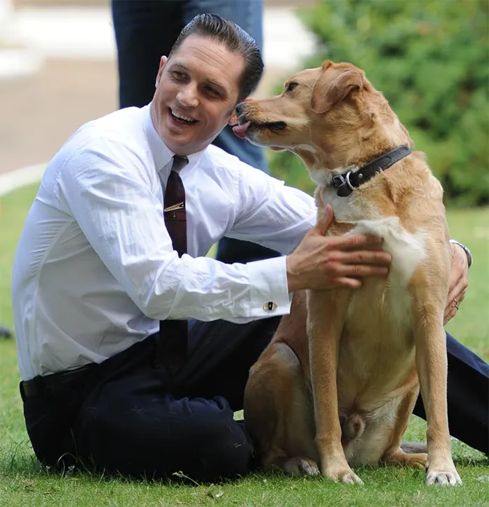 Se vuelven virales las tiernas fotos de Tom Hardy con perros, y te derretirán el corazón