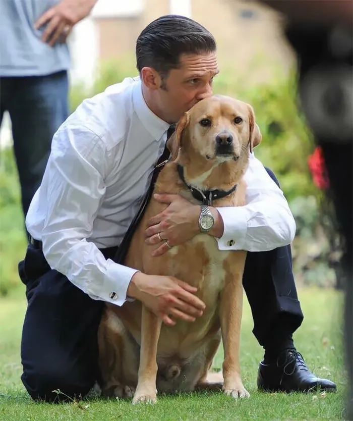 Heartwarming Photos Of Tom Hardy With Puppies Are Going Viral, And They'll Melt Your Heart