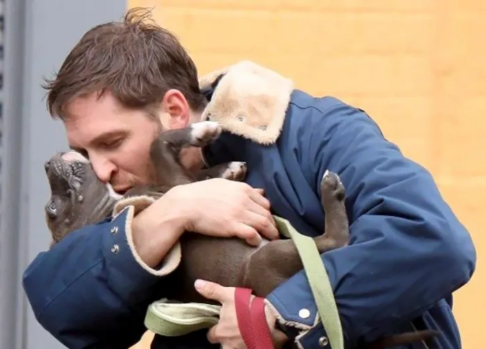 Se vuelven virales las tiernas fotos de Tom Hardy con perros, y te derretirán el corazón