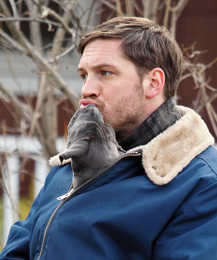 Se vuelven virales las tiernas fotos de Tom Hardy con perros, y te derretirán el corazón