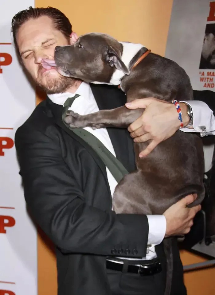 Se vuelven virales las tiernas fotos de Tom Hardy con perros, y te derretirán el corazón