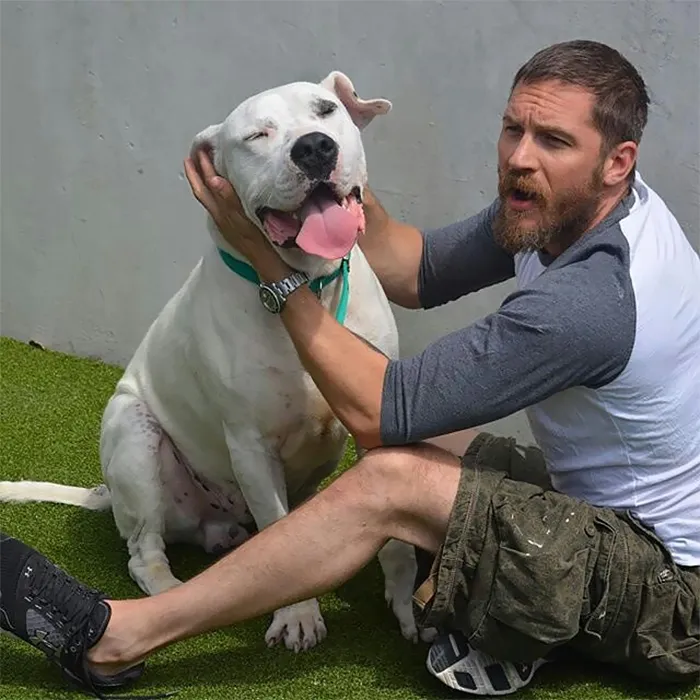Se vuelven virales las tiernas fotos de Tom Hardy con perros, y te derretirán el corazón