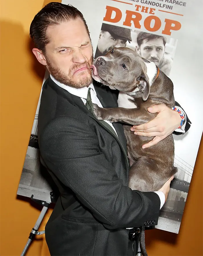 Se vuelven virales las tiernas fotos de Tom Hardy con perros, y te derretirán el corazón