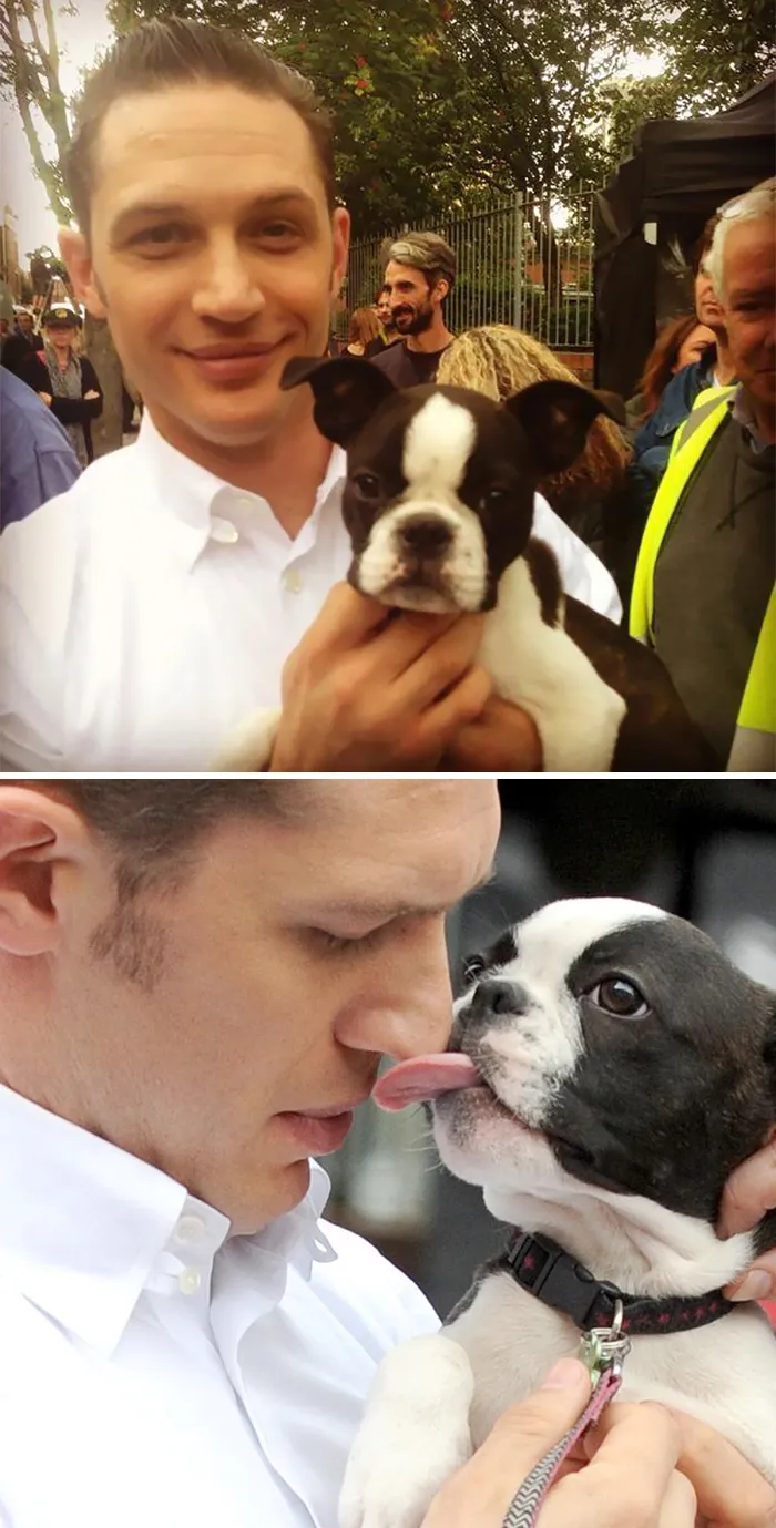 Heartwarming Photos Of Tom Hardy With Puppies Are Going Viral, And They'll Melt Your Heart