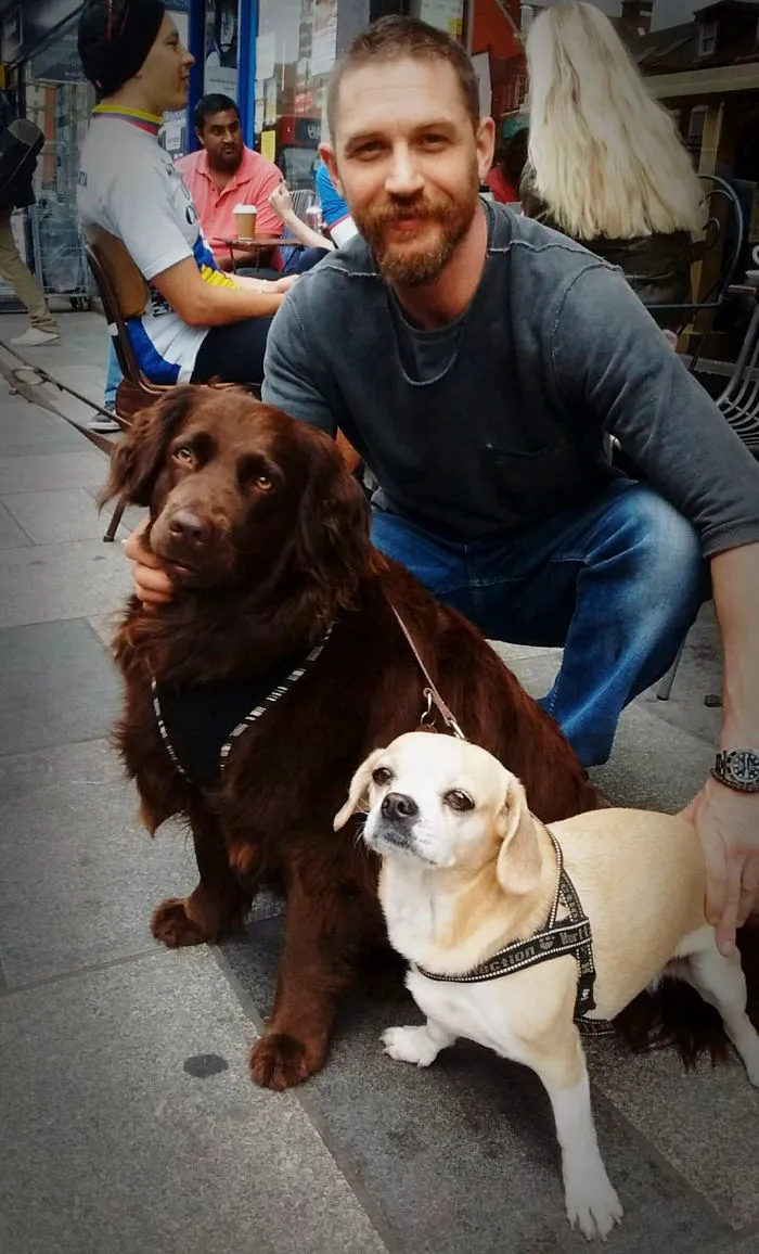 Se vuelven virales las tiernas fotos de Tom Hardy con perros, y te derretirán el corazón