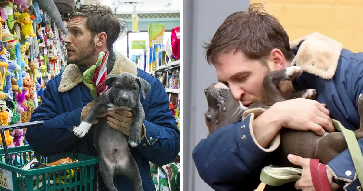 Se vuelven virales las tiernas fotos de Tom Hardy con perros, y te derretirán el corazón