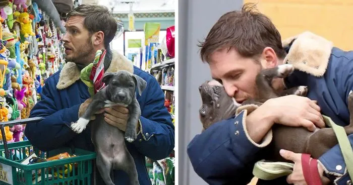 Heartwarming Photos Of Tom Hardy With Puppies Are Going Viral, And They'll Melt Your Heart