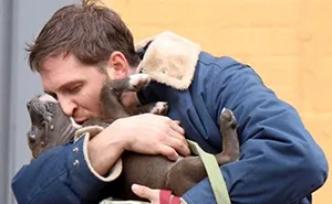 Heartwarming Photos Of Tom Hardy With Puppies Are Going Viral, And They'll Melt Your Heart