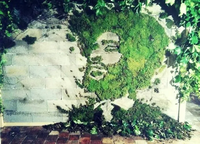 Ecological Graffiti, Street Art Made With Mosses
