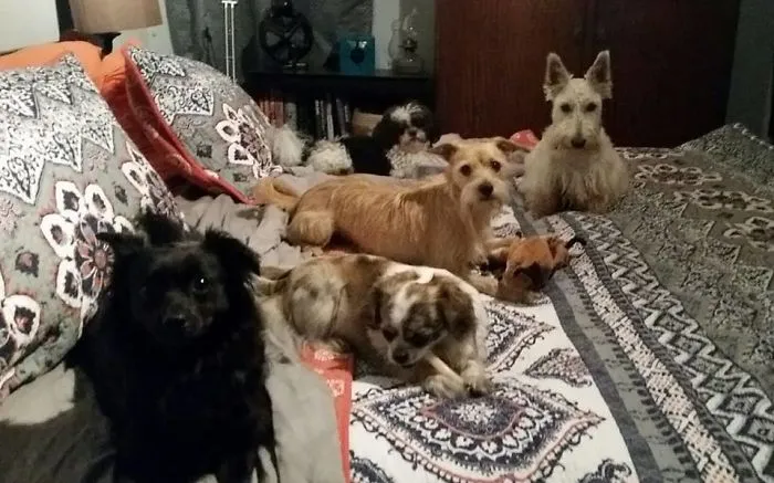 No More Room On The Bed