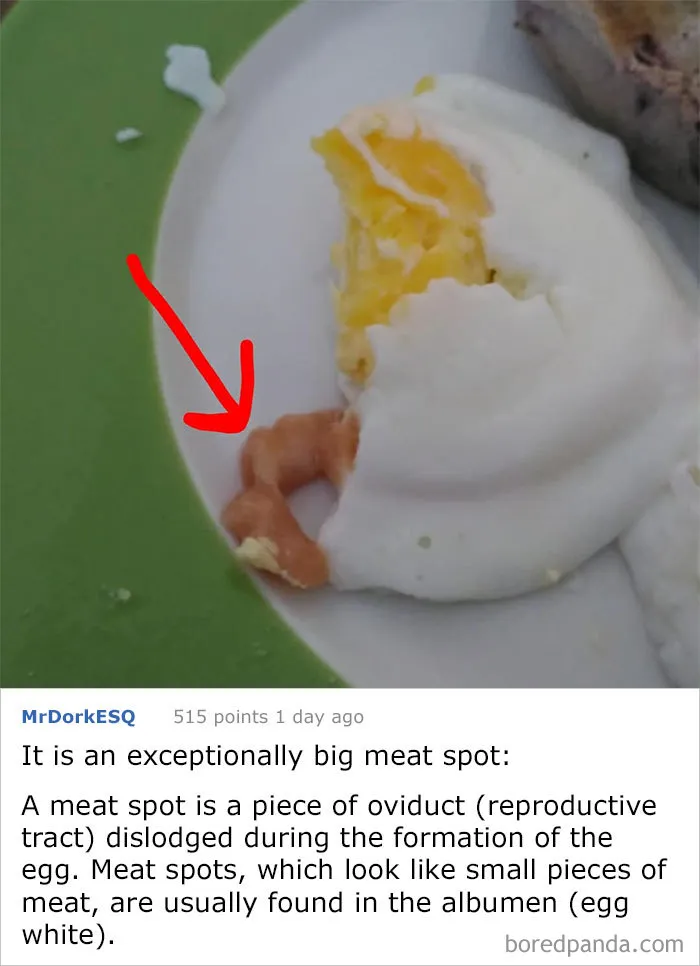 It Slid Out Of My Cooked Egg. What Is This Thing?