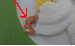 57 Times People Had No Idea What They Were Looking At, But The Internet Knew What It Was Right Away