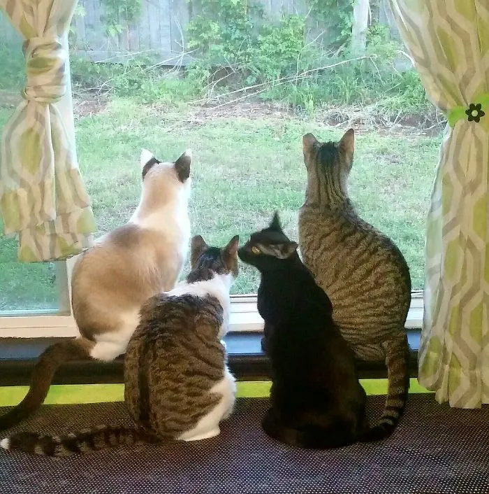 Sisters