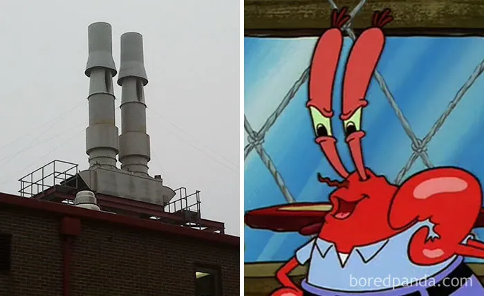 Mr. Krabs?