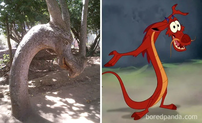 Árbol que se parece a Mushu
