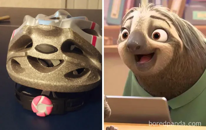 Casco de bici que se parece al perezoso de Zootrópolis