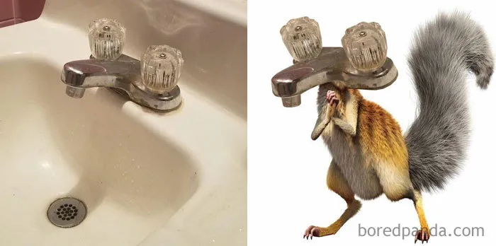 Este grifo se parece a Scrat de la Edad de Hielo