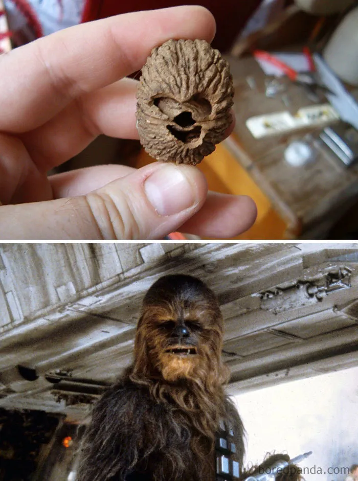 Esta nuez parece Chewbacca