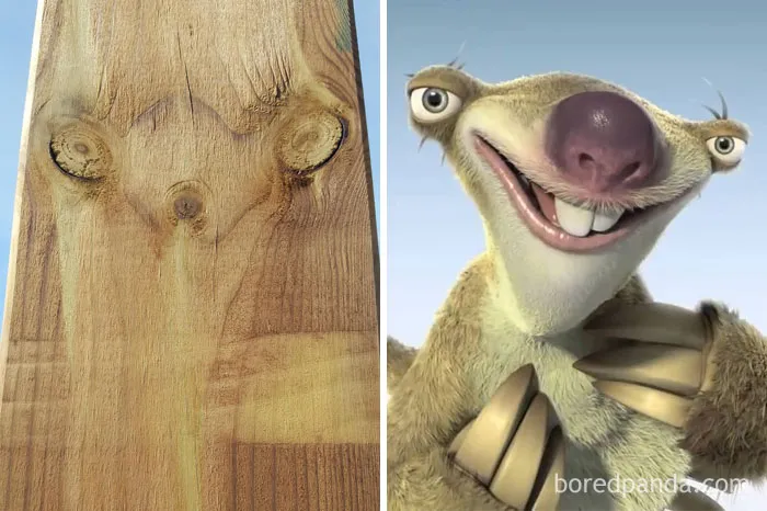 Madera con cara de Sid