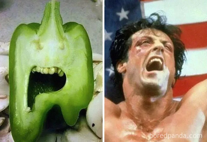 Pimiento con cara de Sylvester Stallone