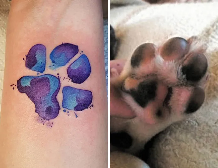 Paw-sitively Perfect Match